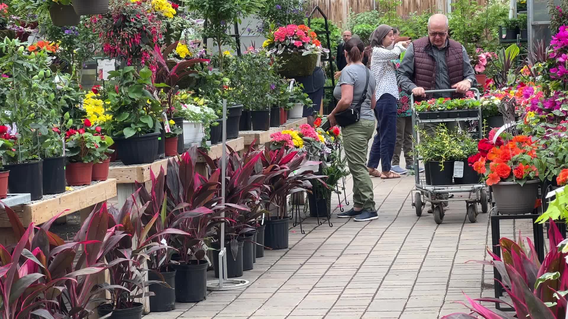 Canadians shop for plants and flowers during the Victoria Day long weekend