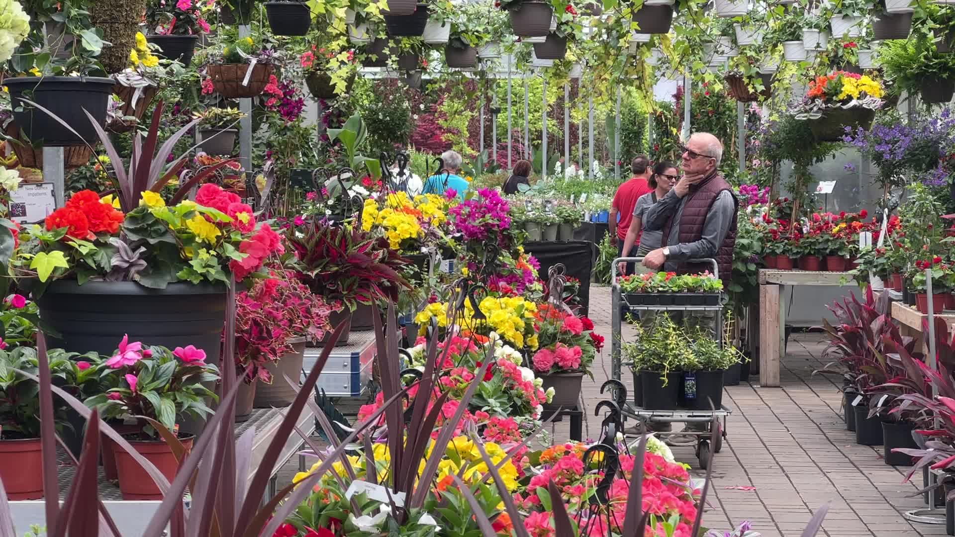 Canadians shop for plants and flowers during the Victoria Day long weekend
