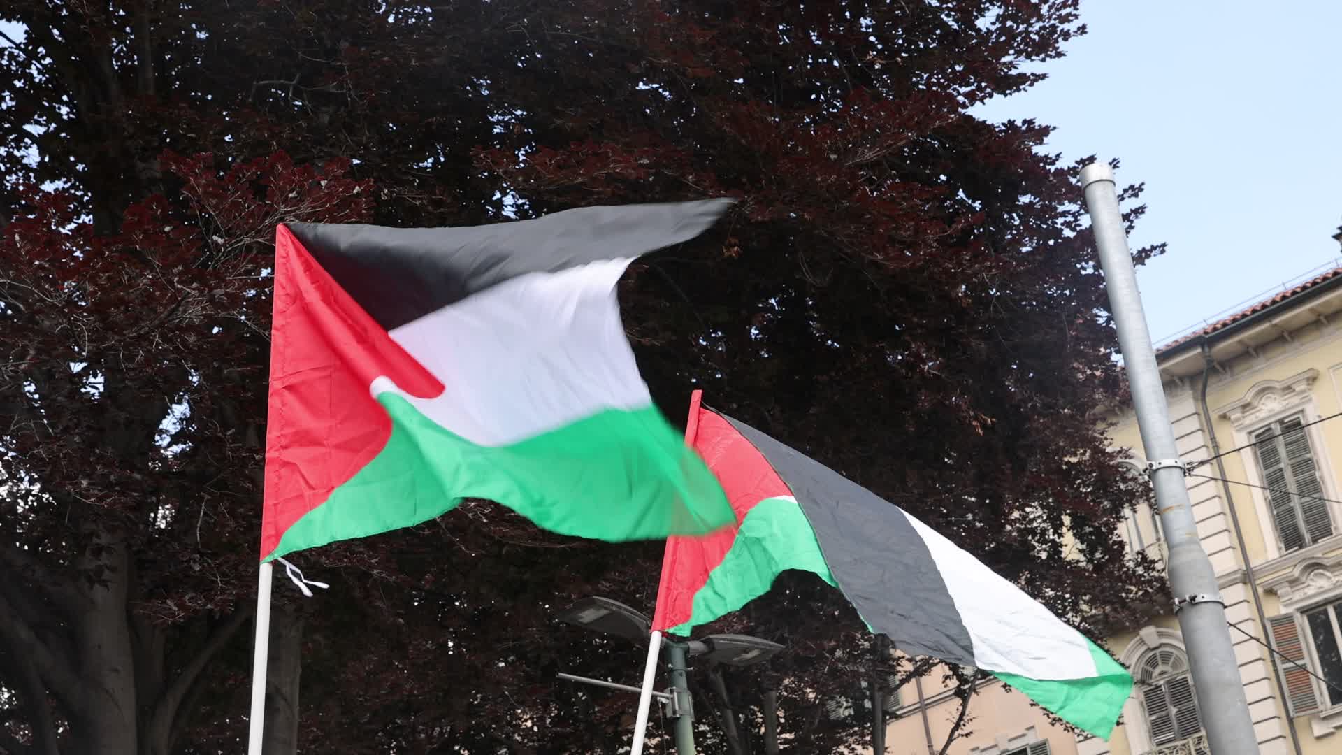 Pro-Palestinian Protest In Torino