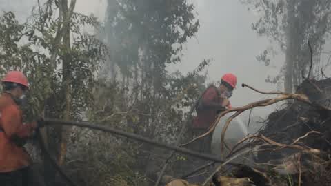 Residents are evacuated due to a forest fire in Riau, Indonesia
