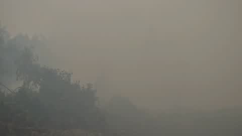 Residents are evacuated due to a forest fire in Riau, Indonesia