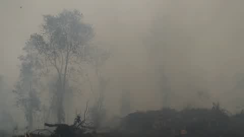 Residents are evacuated due to a forest fire in Riau, Indonesia