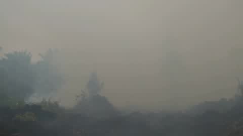 Residents are evacuated due to a forest fire in Riau, Indonesia