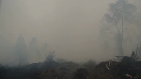 Residents are evacuated due to a forest fire in Riau, Indonesia