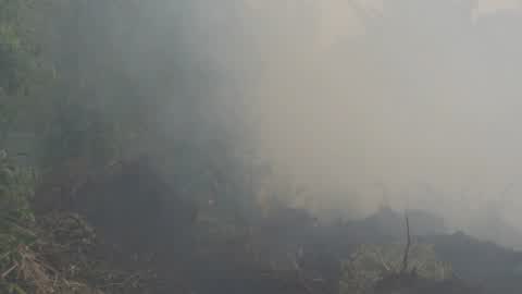 Residents are evacuated due to a forest fire in Riau, Indonesia