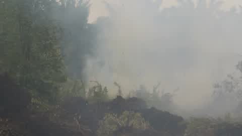 Residents are evacuated due to a forest fire in Riau, Indonesia