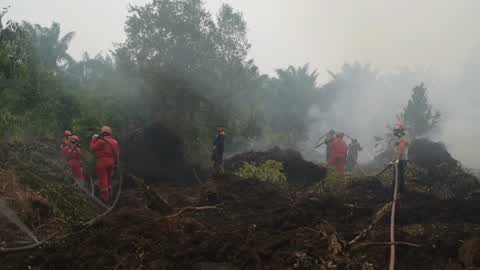 Residents are evacuated due to a forest fire in Riau, Indonesia