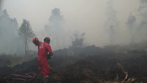 Residents are evacuated due to a forest fire in Riau, Indonesia