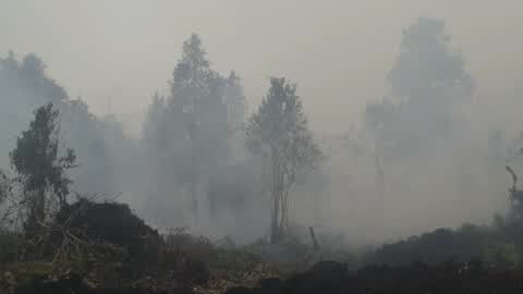 Residents are evacuated due to a forest fire in Riau, Indonesia