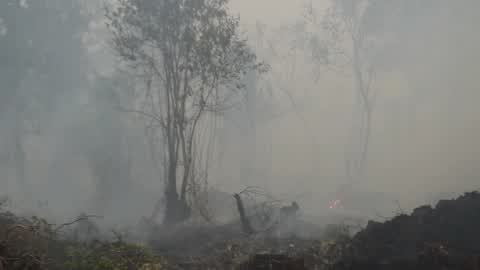 Residents are evacuated due to a forest fire in Riau, Indonesia