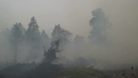 Residents are evacuated due to a forest fire in Riau, Indonesia