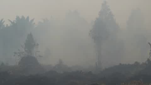 Residents are evacuated due to a forest fire in Riau, Indonesia