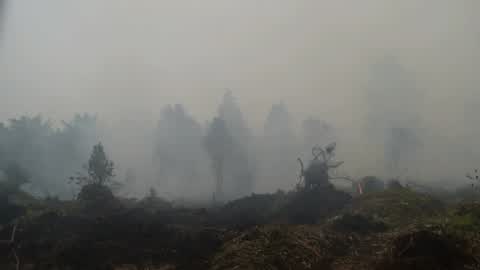Residents are evacuated due to a forest fire in Riau, Indonesia