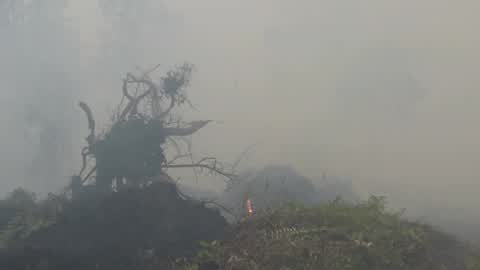 Residents are evacuated due to a forest fire in Riau, Indonesia