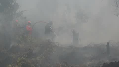 Residents are evacuated due to a forest fire in Riau, Indonesia