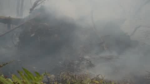 Residents are evacuated due to a forest fire in Riau, Indonesia