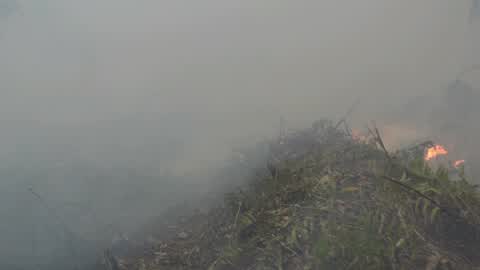 Residents are evacuated due to a forest fire in Riau, Indonesia