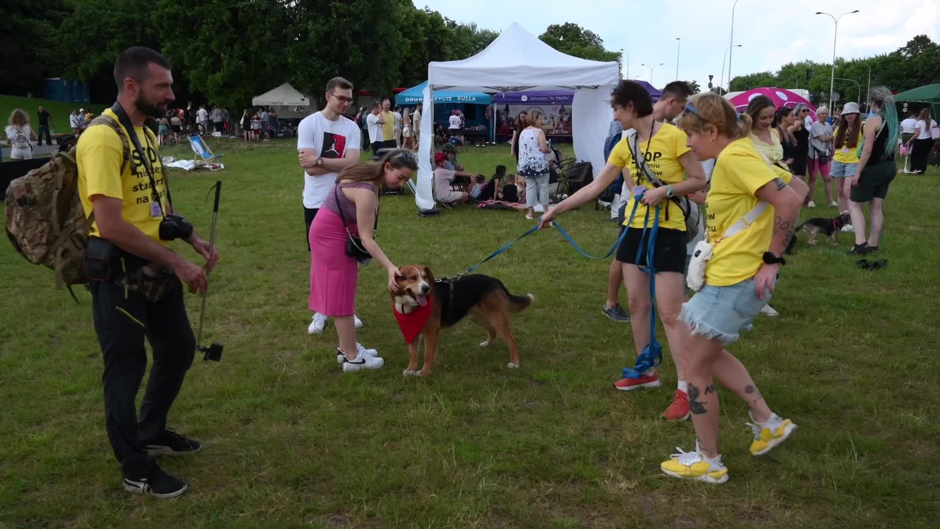 Warsaw Animal Day with pets for adoption