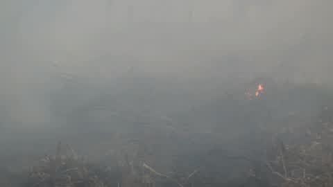 Residents are evacuated due to a forest fire in Riau, Indonesia