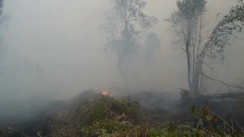 Residents are evacuated due to a forest fire in Riau, Indonesia