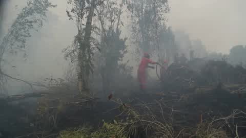 Residents are evacuated due to a forest fire in Riau, Indonesia