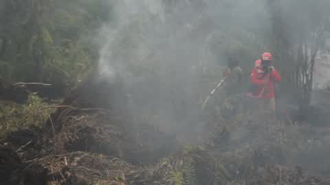 Residents are evacuated due to a forest fire in Riau, Indonesia
