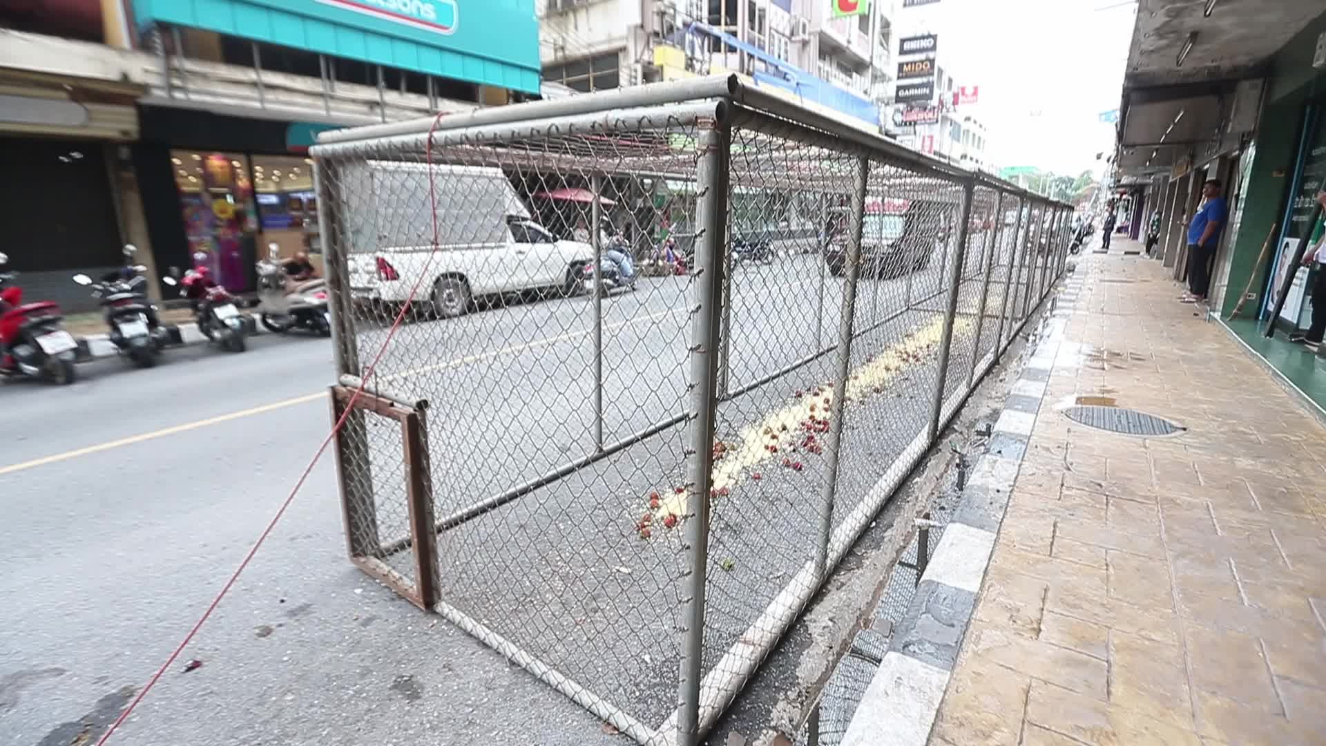 Monkey in Lopburi