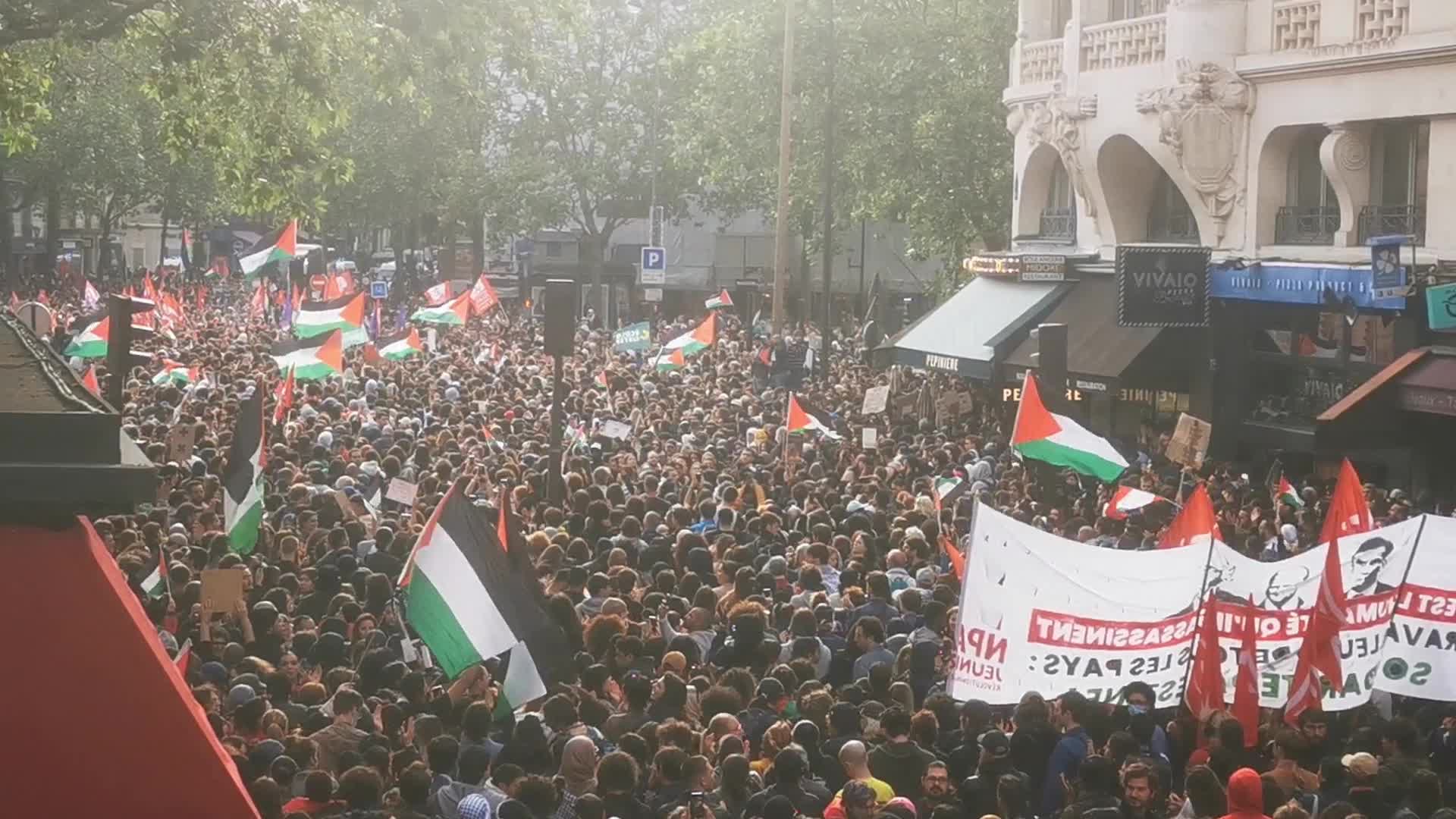 Pro Palestine Rally In Paris, France