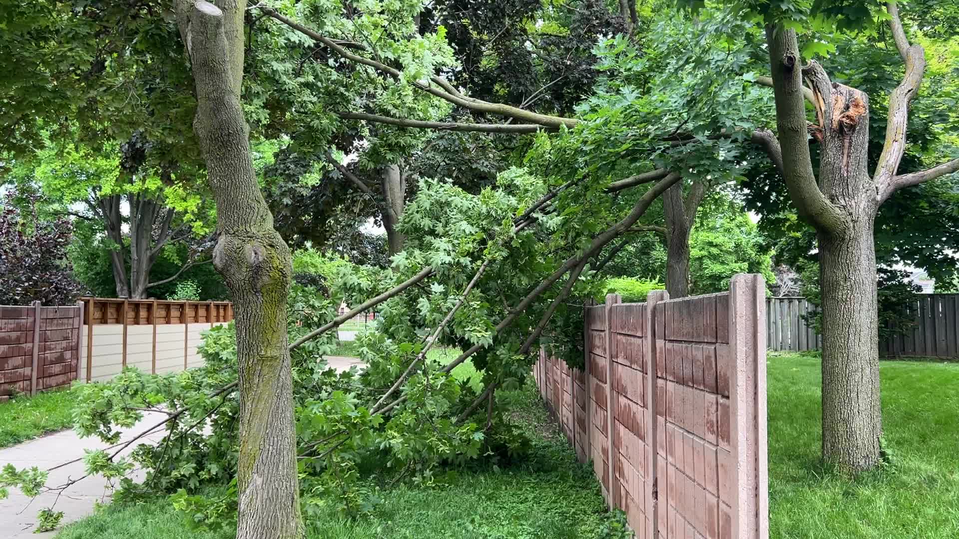 Strong winds wreak havoc across the GTA