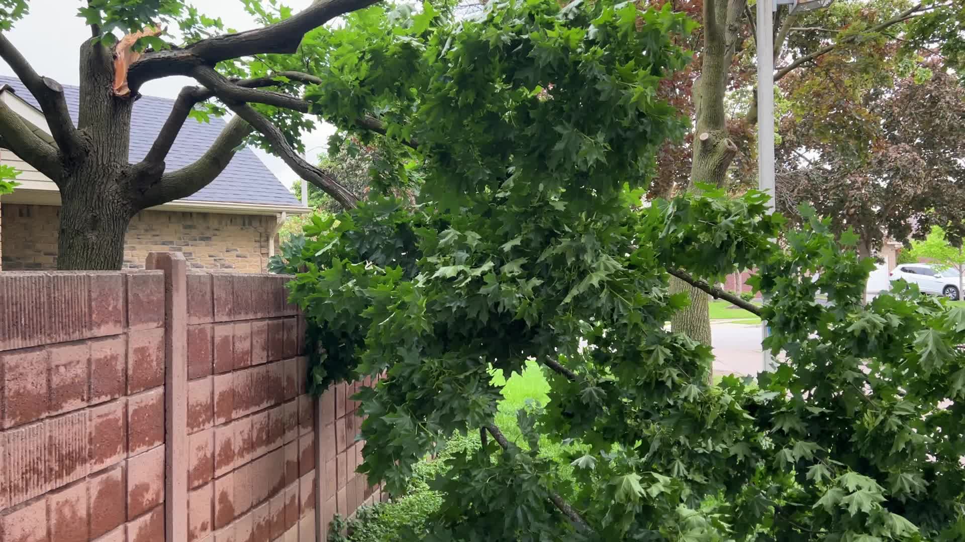 Strong winds wreak havoc across the GTA