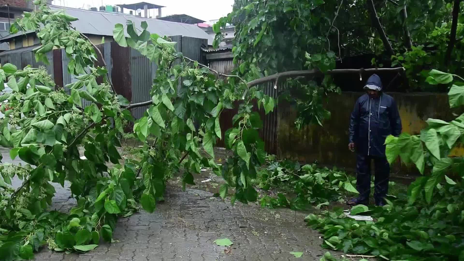 One dead, several injured as cyclone Remel causes destruction in India's Assam