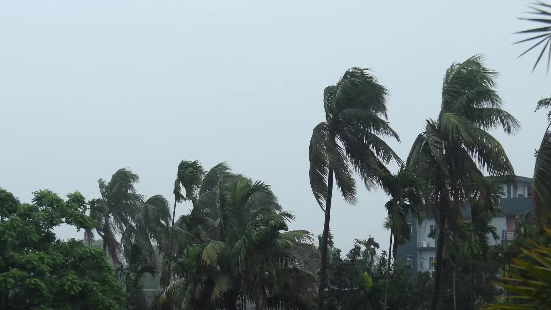 One dead, several injured as cyclone Remel causes destruction in India's Assam