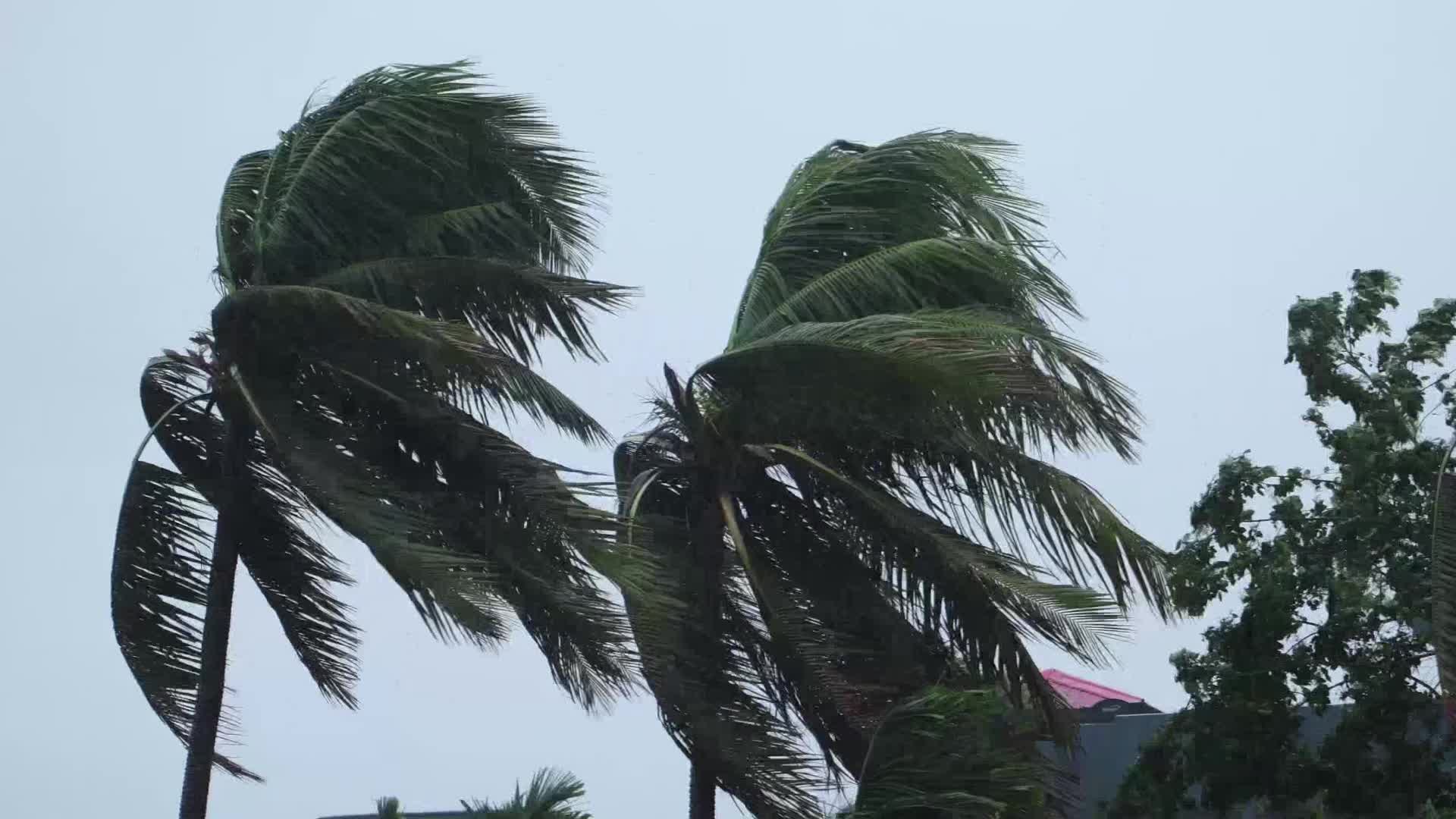One dead, several injured as cyclone Remel causes destruction in India's Assam
