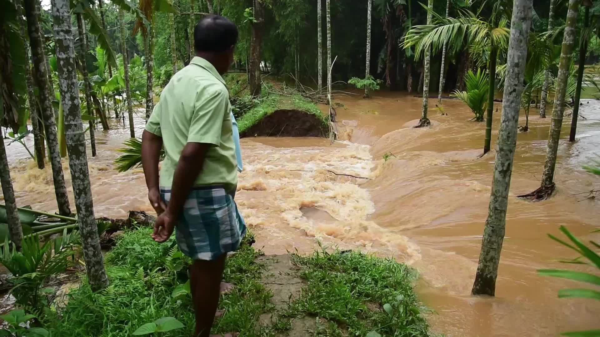 Cyclone Remal: 37 killed as rain, landslips wreak havoc in northeast India