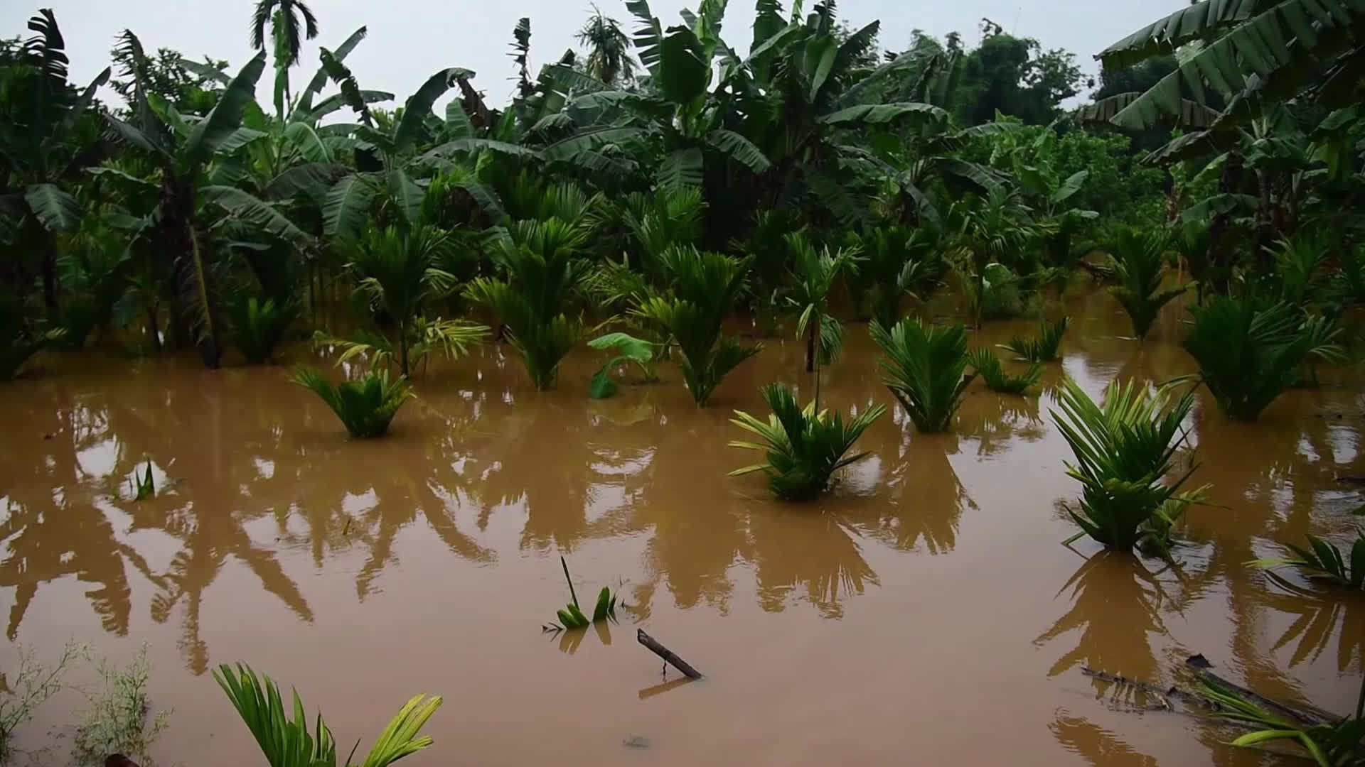 Cyclone Remal: 37 killed as rain, landslips wreak havoc in northeast India