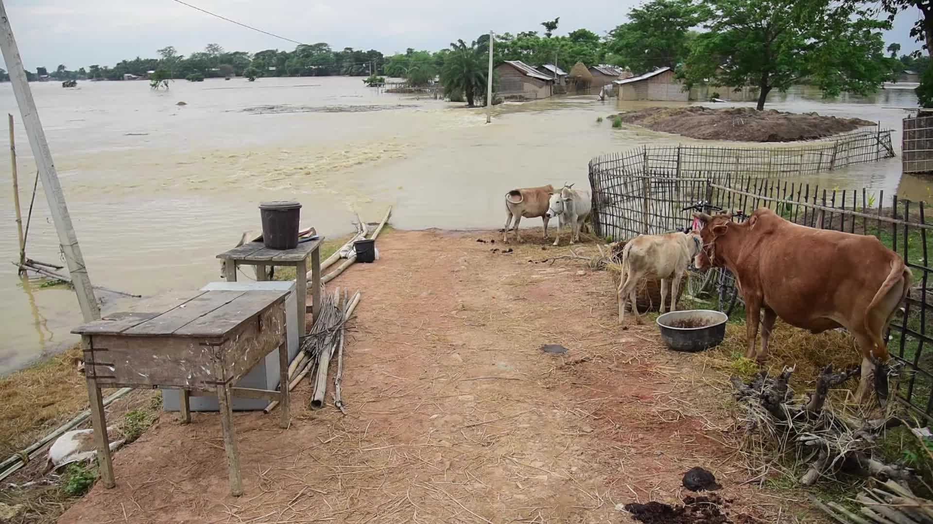 Aftermath Of Cyclone Remal In India