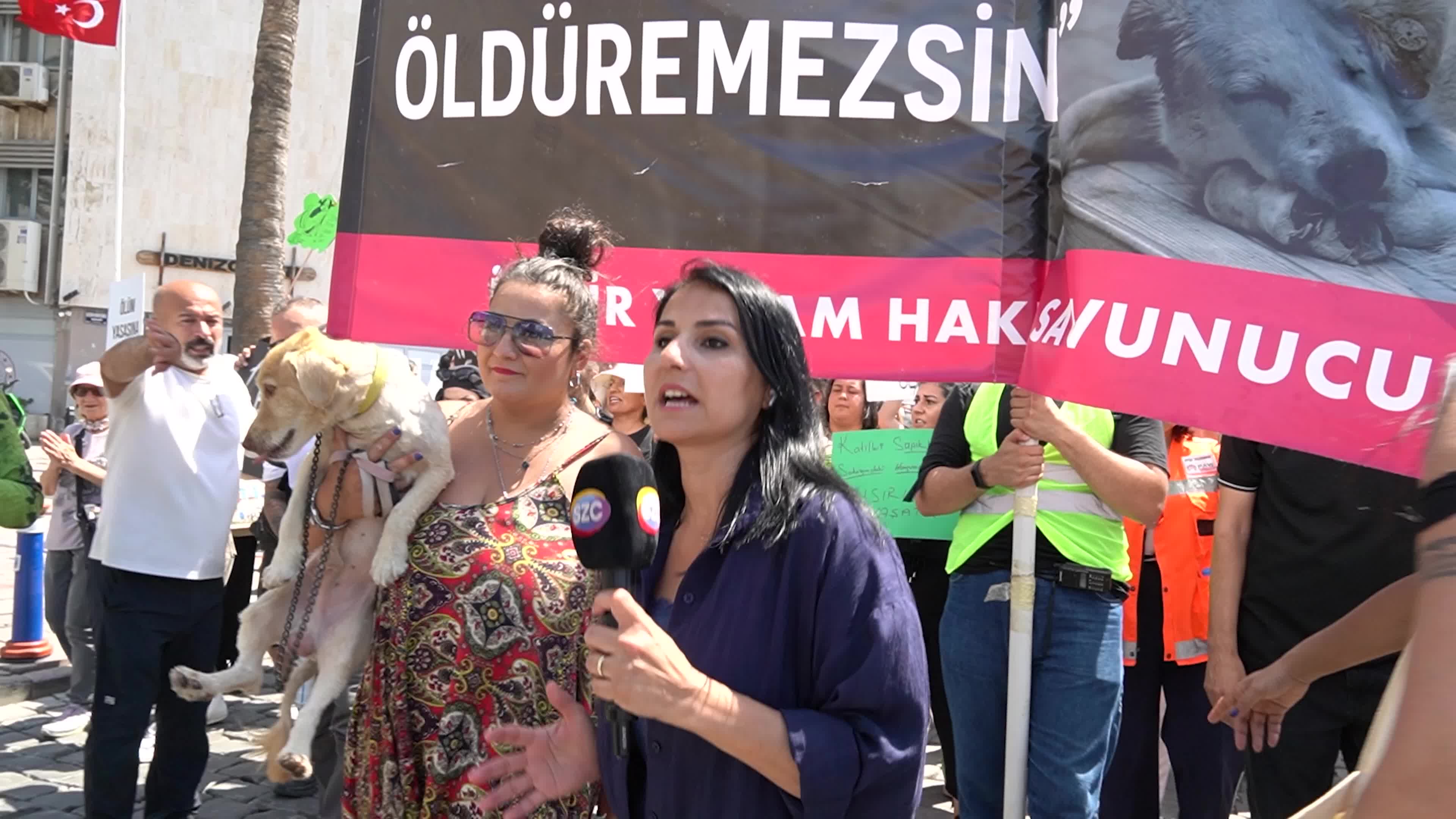 Animal rights activists held a rally across Turkey, Izmir - 02 Jun 2024