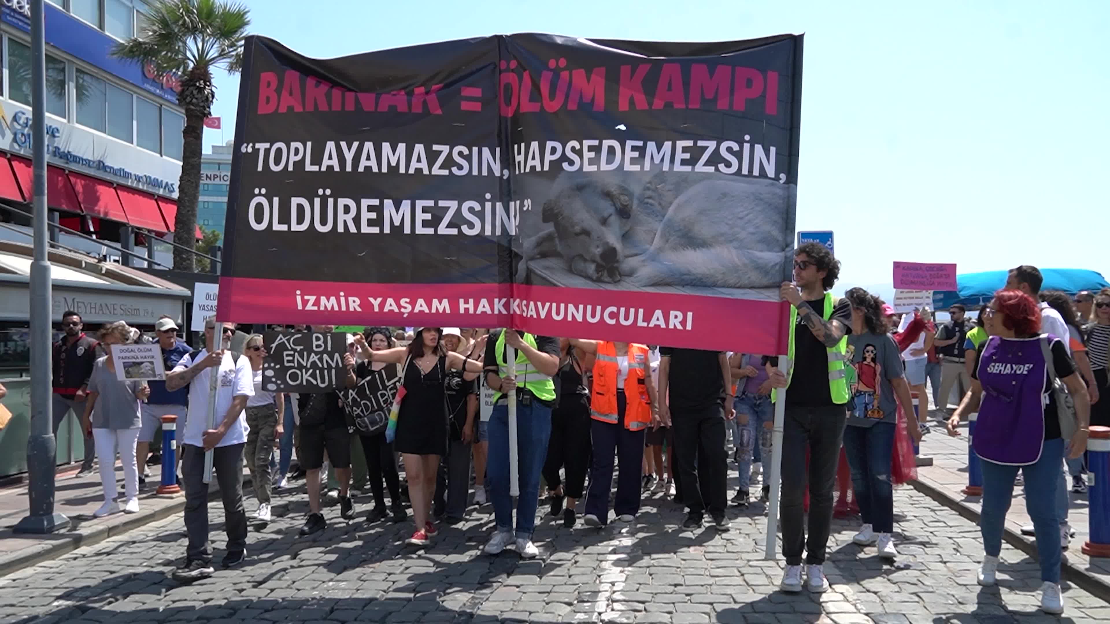 Animal rights activists held a rally across Turkey, Izmir - 02 Jun 2024