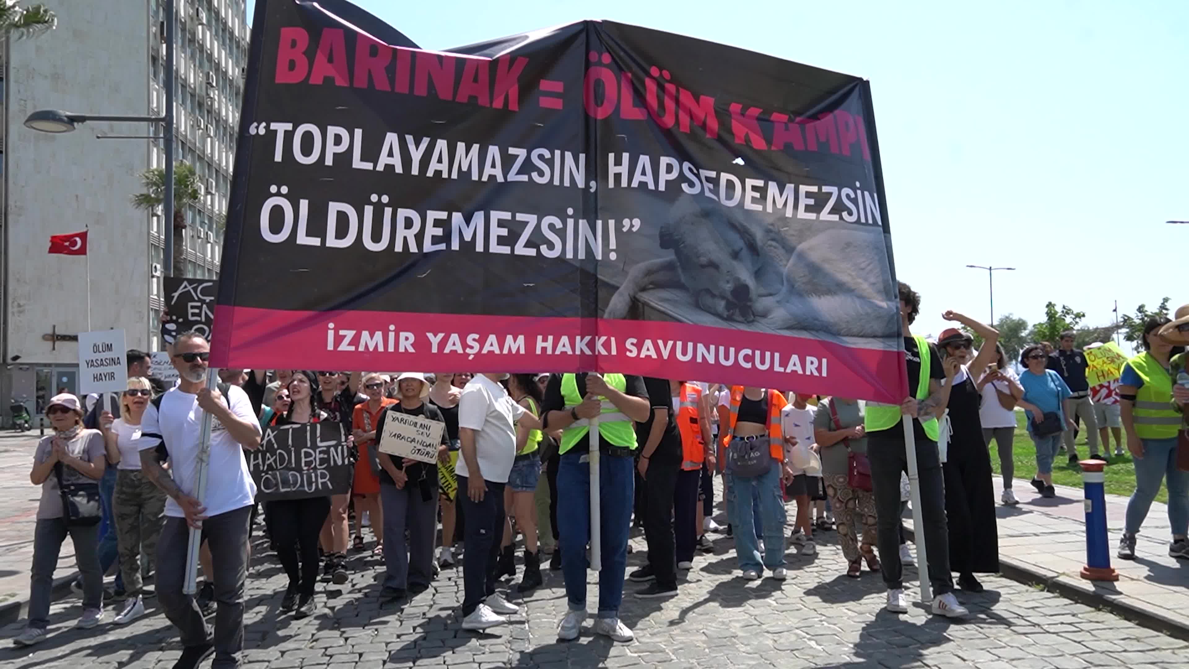 Animal rights activists held a rally across Turkey, Izmir - 02 Jun 2024