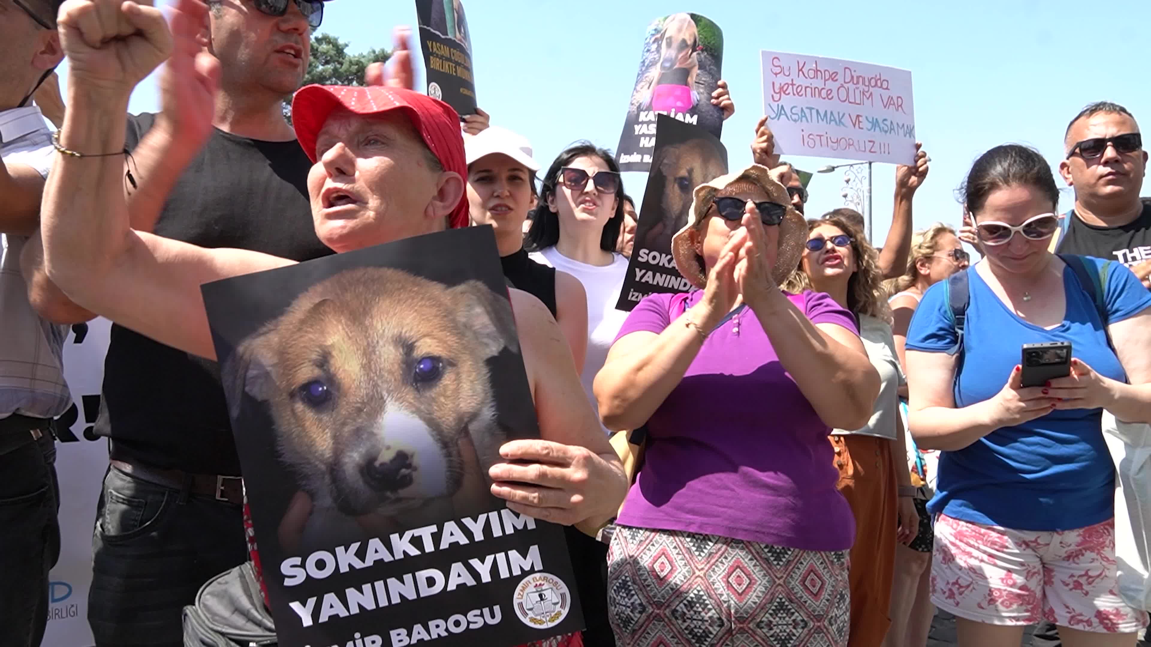Animal rights activists held a rally across Turkey, Izmir - 02 Jun 2024