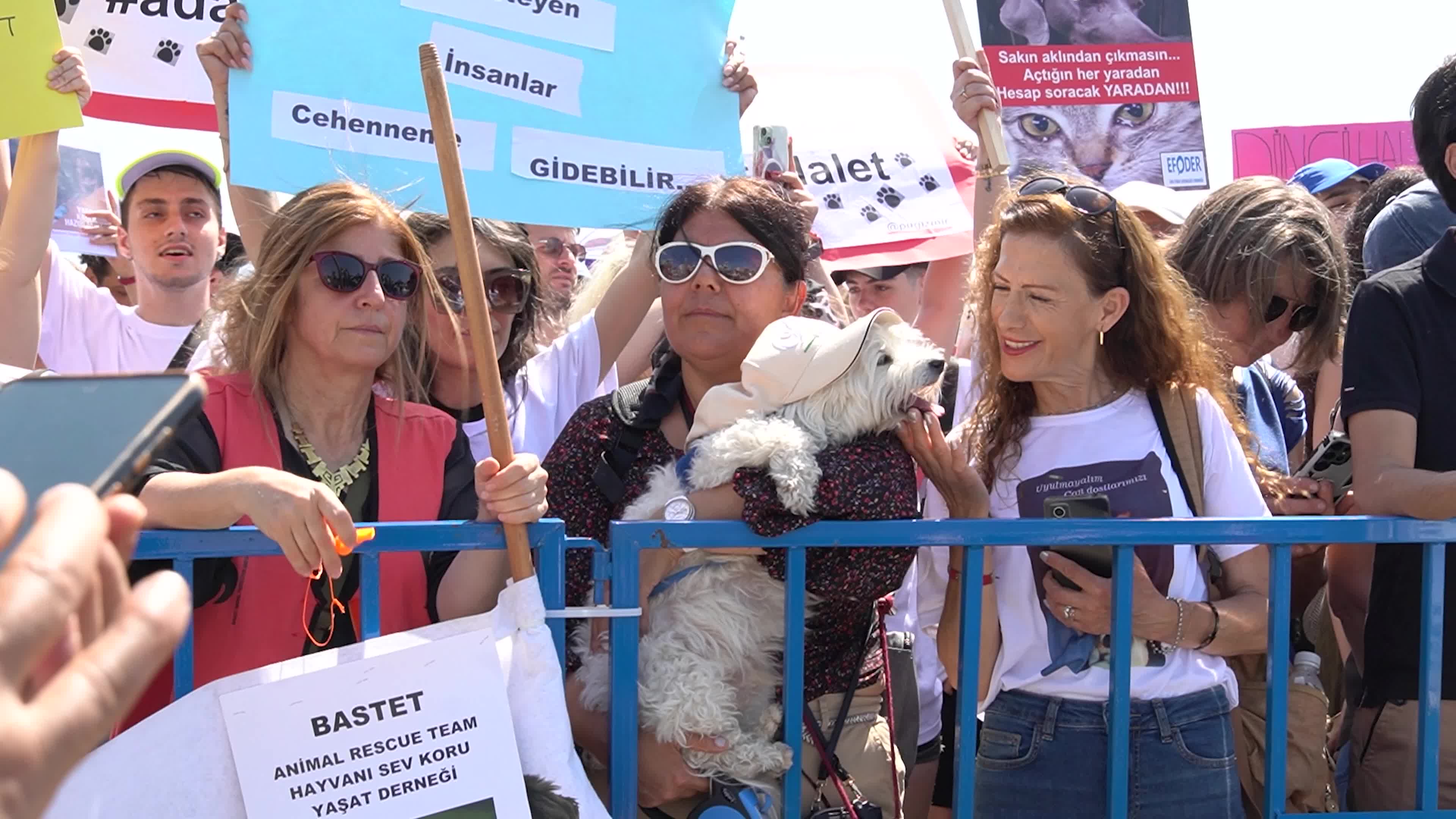 Animal rights activists held a rally across Turkey, Izmir - 02 Jun 2024