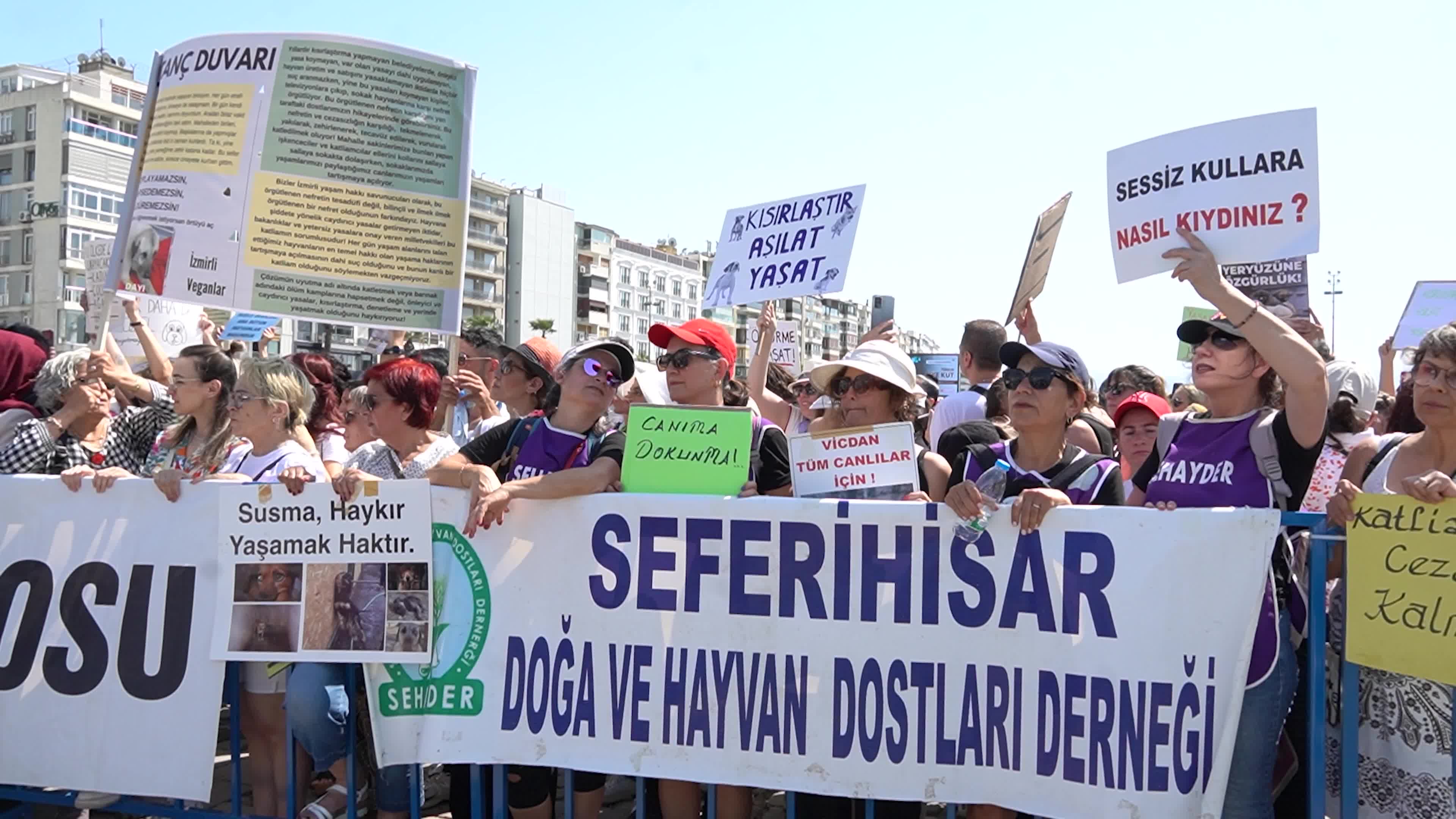 Animal rights activists held a rally across Turkey, Izmir - 02 Jun 2024