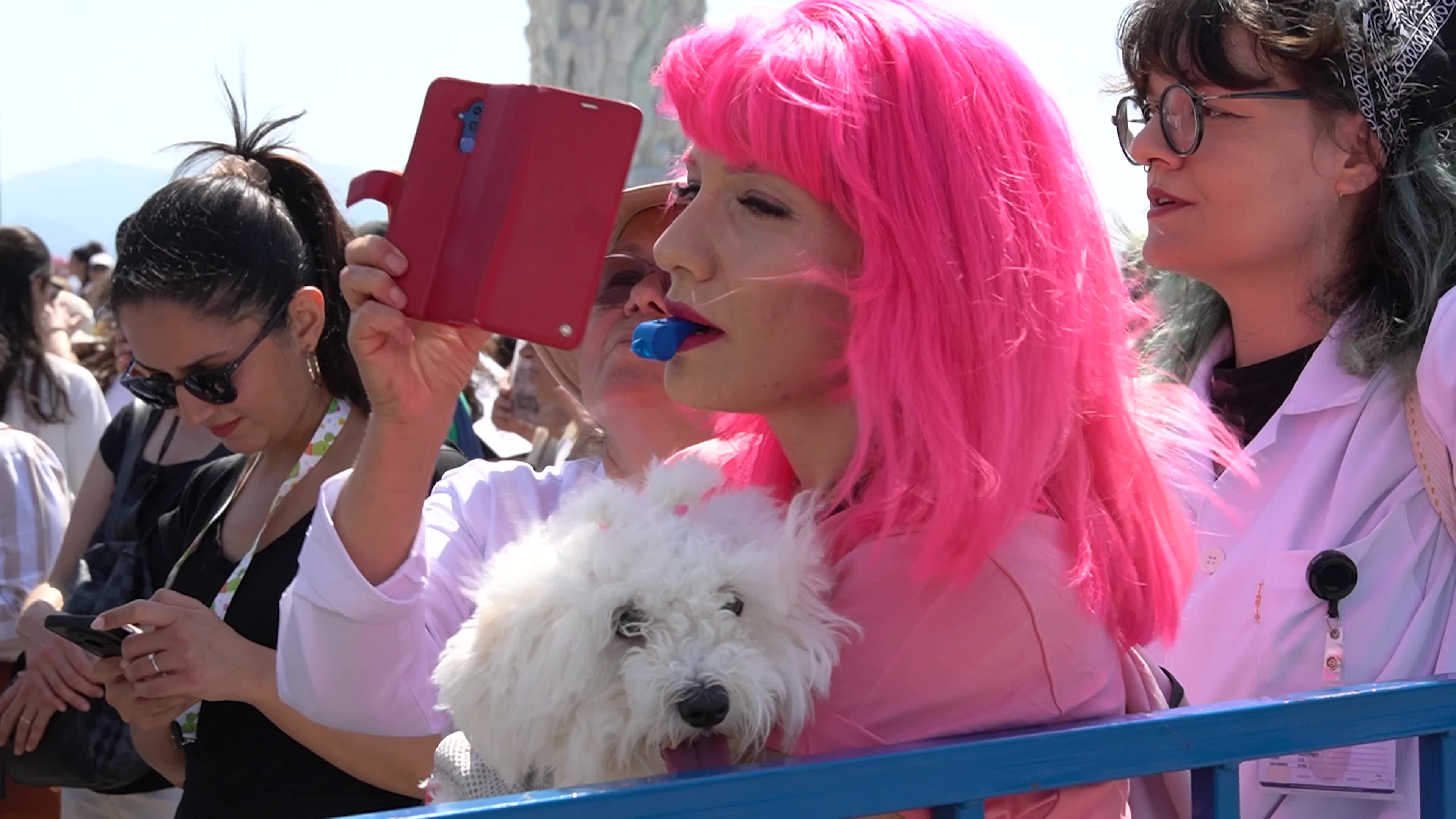 Animal rights activists held a rally across Turkey, Izmir - 02 Jun 2024