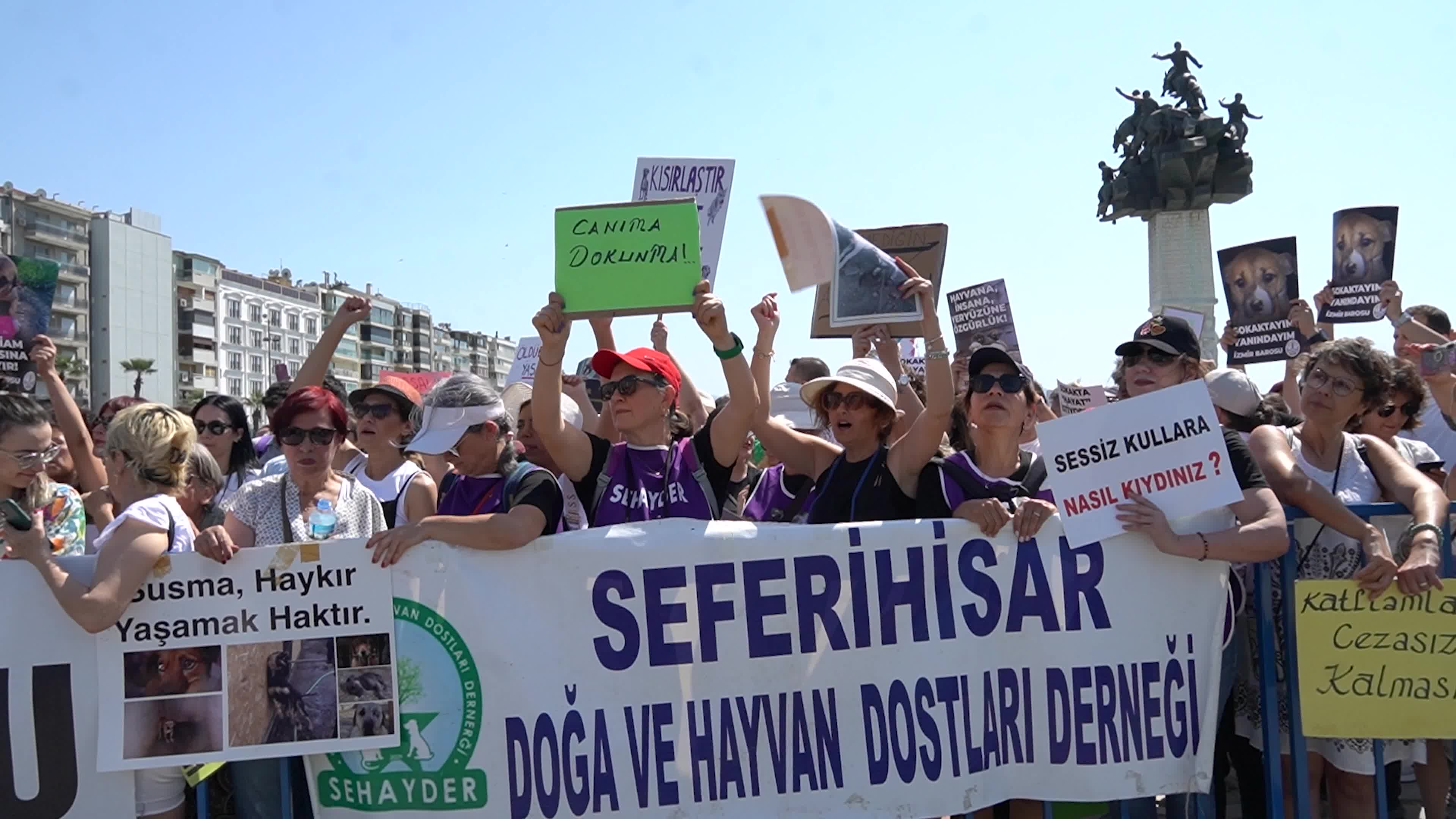 Animal rights activists held a rally across Turkey, Izmir - 02 Jun 2024