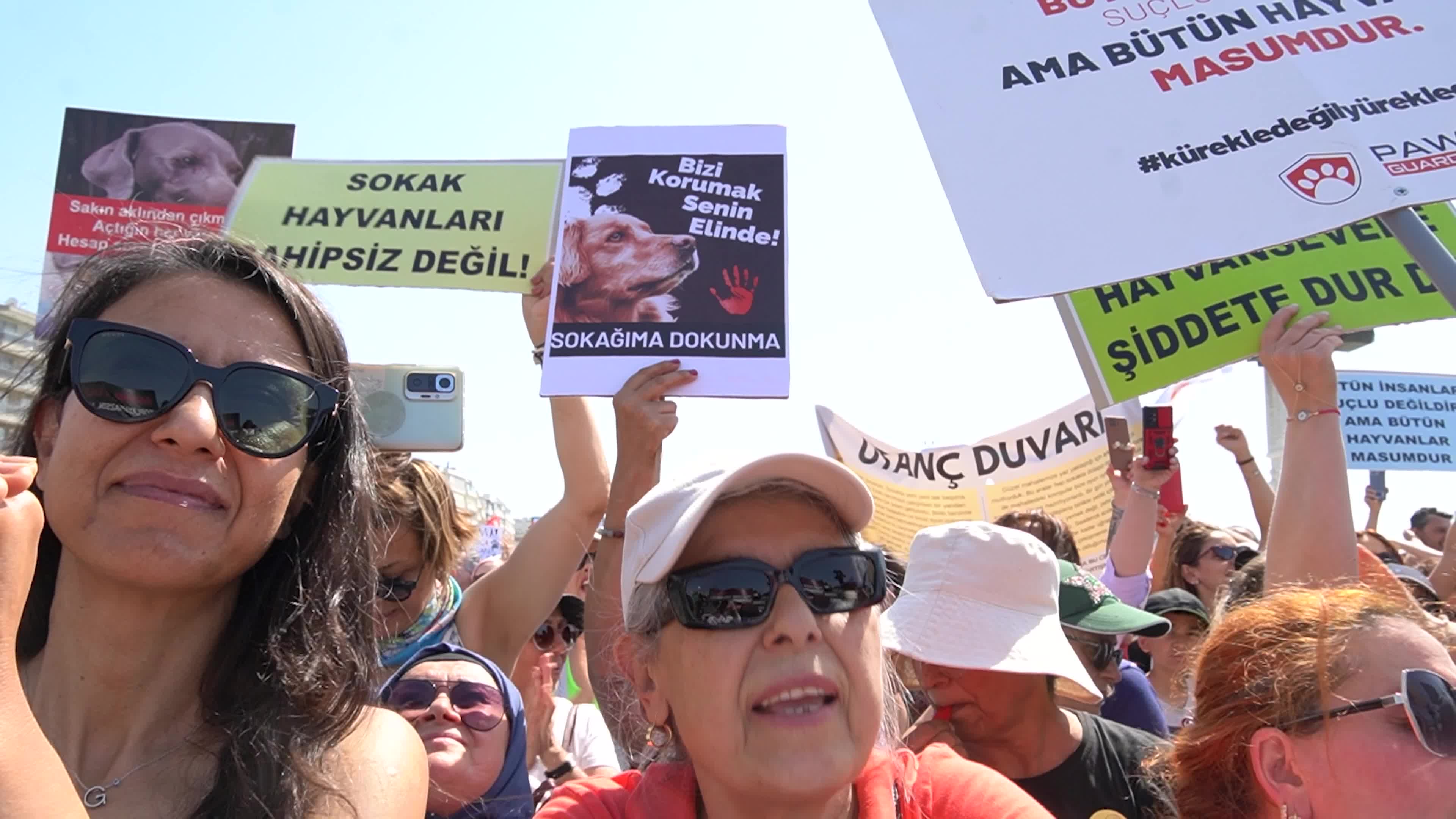 Animal rights activists held a rally across Turkey, Izmir - 02 Jun 2024