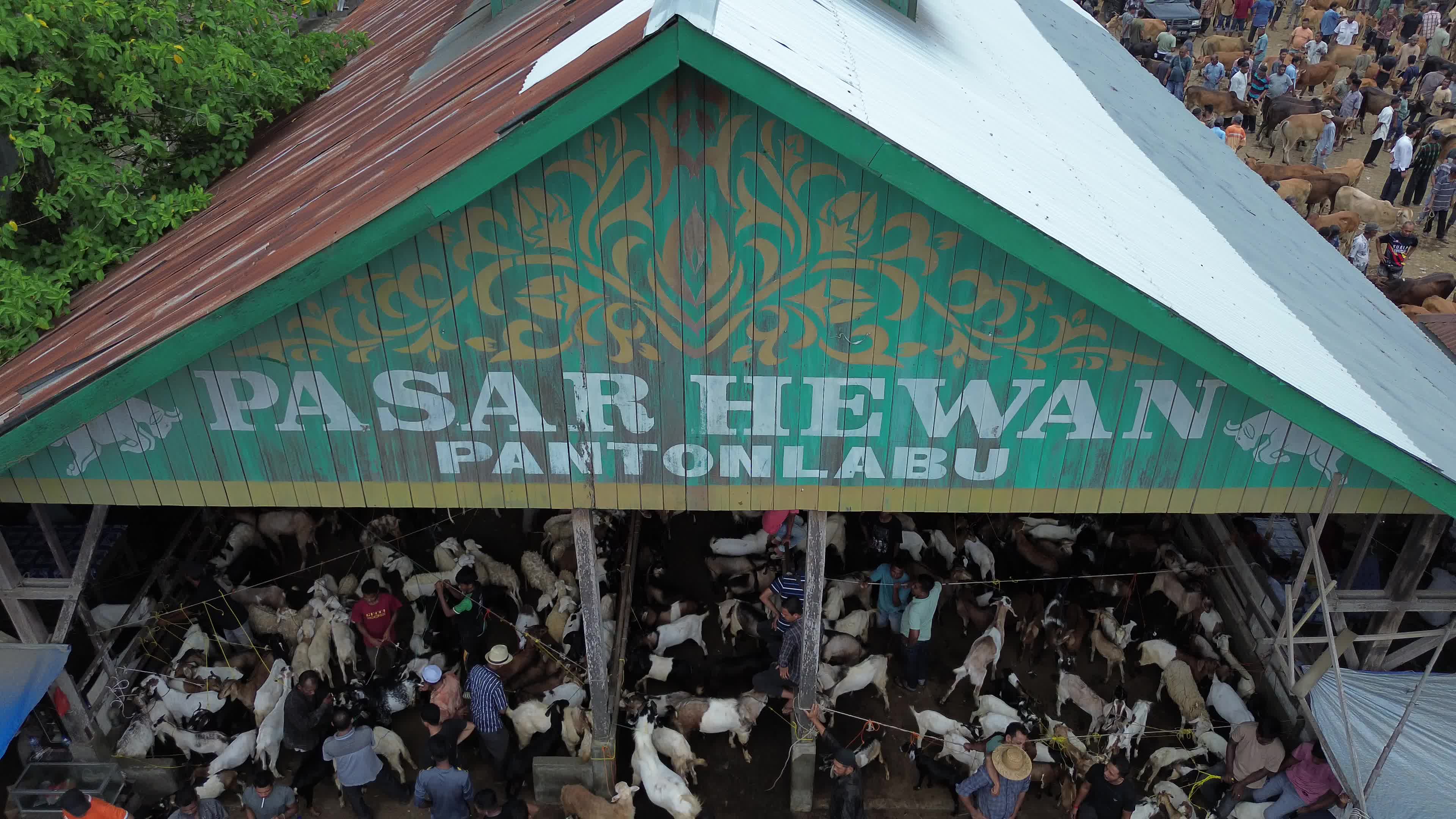 Traditional Livestock Market in Aceh