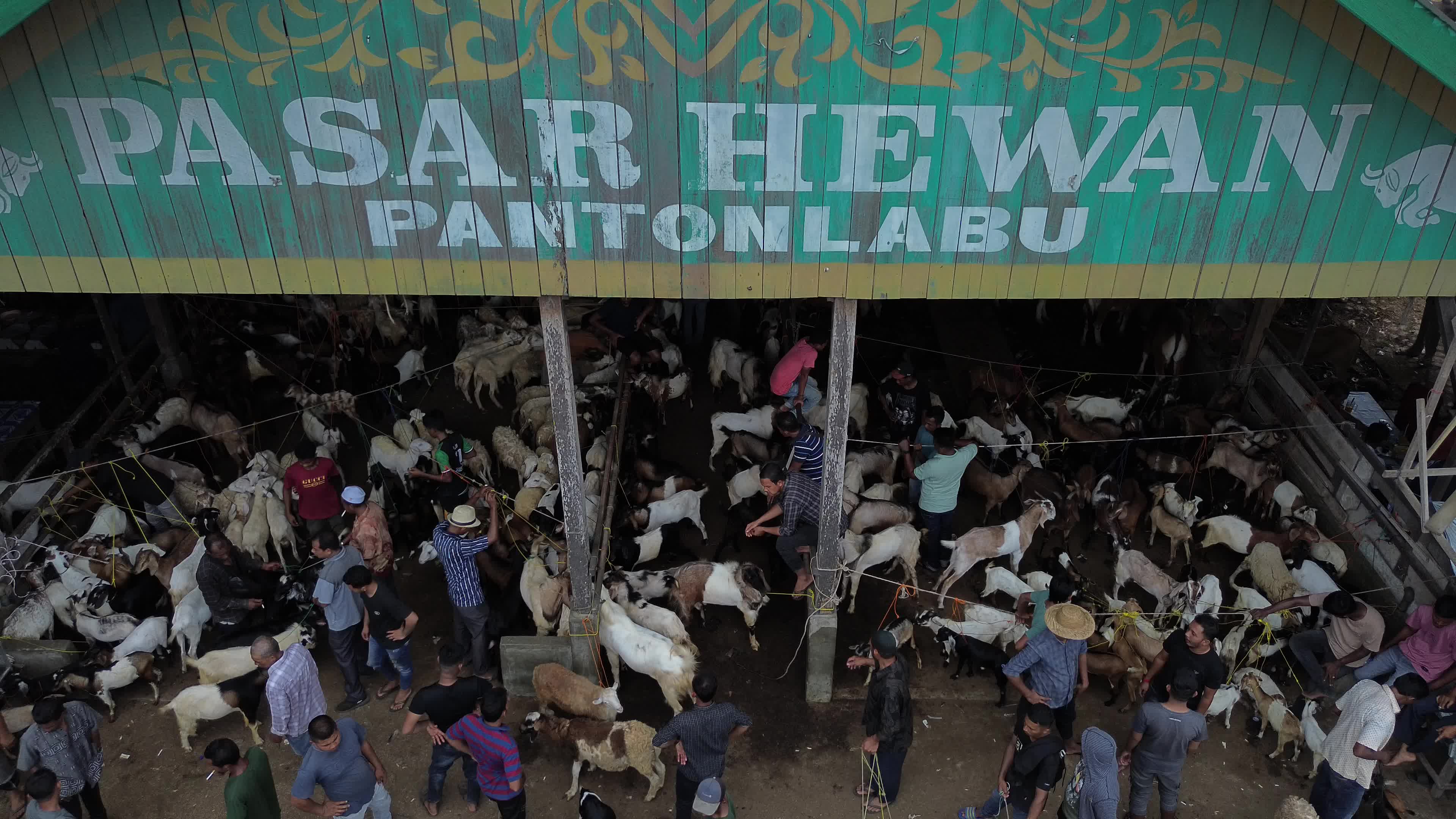 Traditional Livestock Market in Aceh