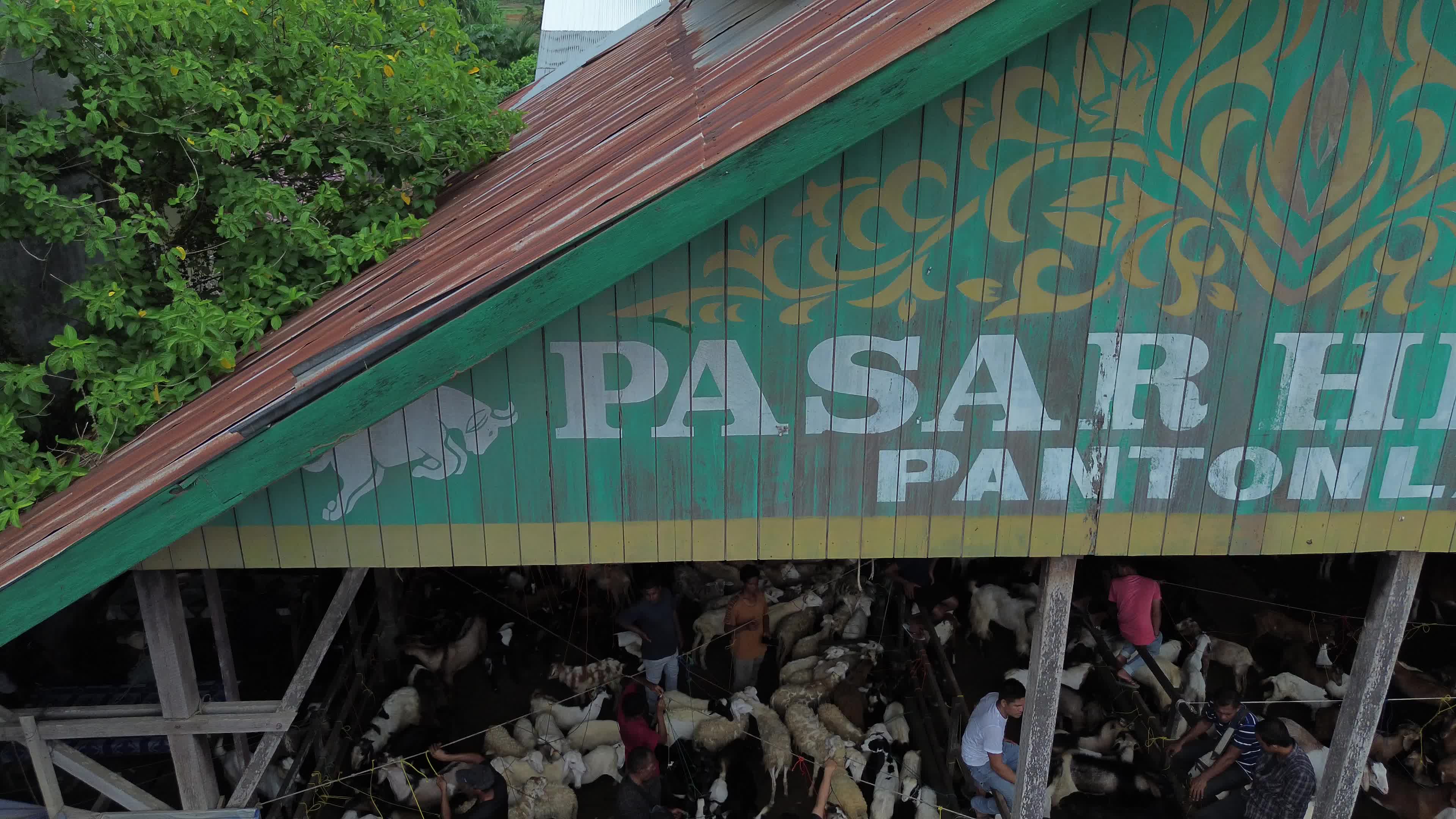 Traditional Livestock Market in Aceh