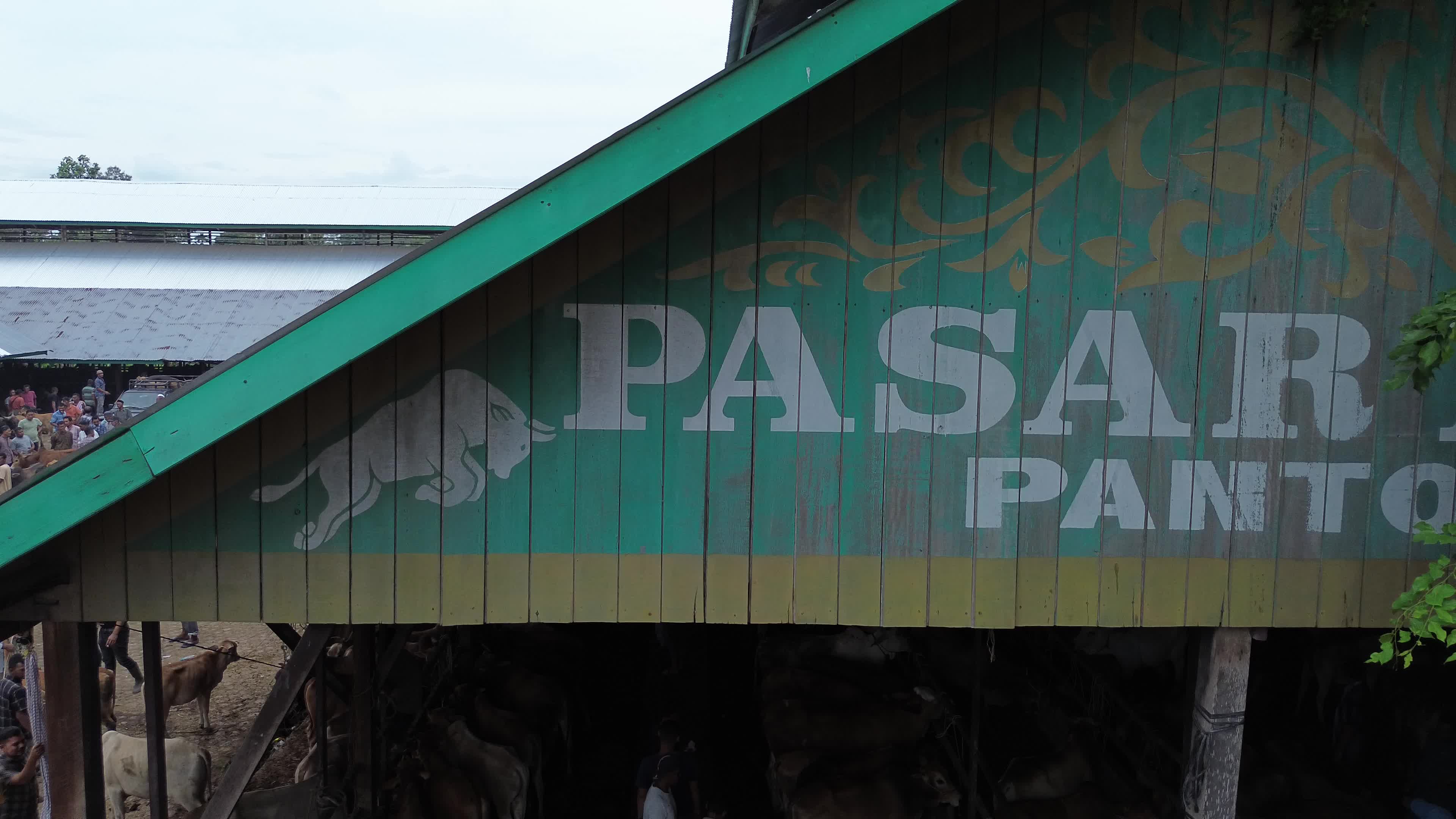 Traditional Livestock Market in Aceh