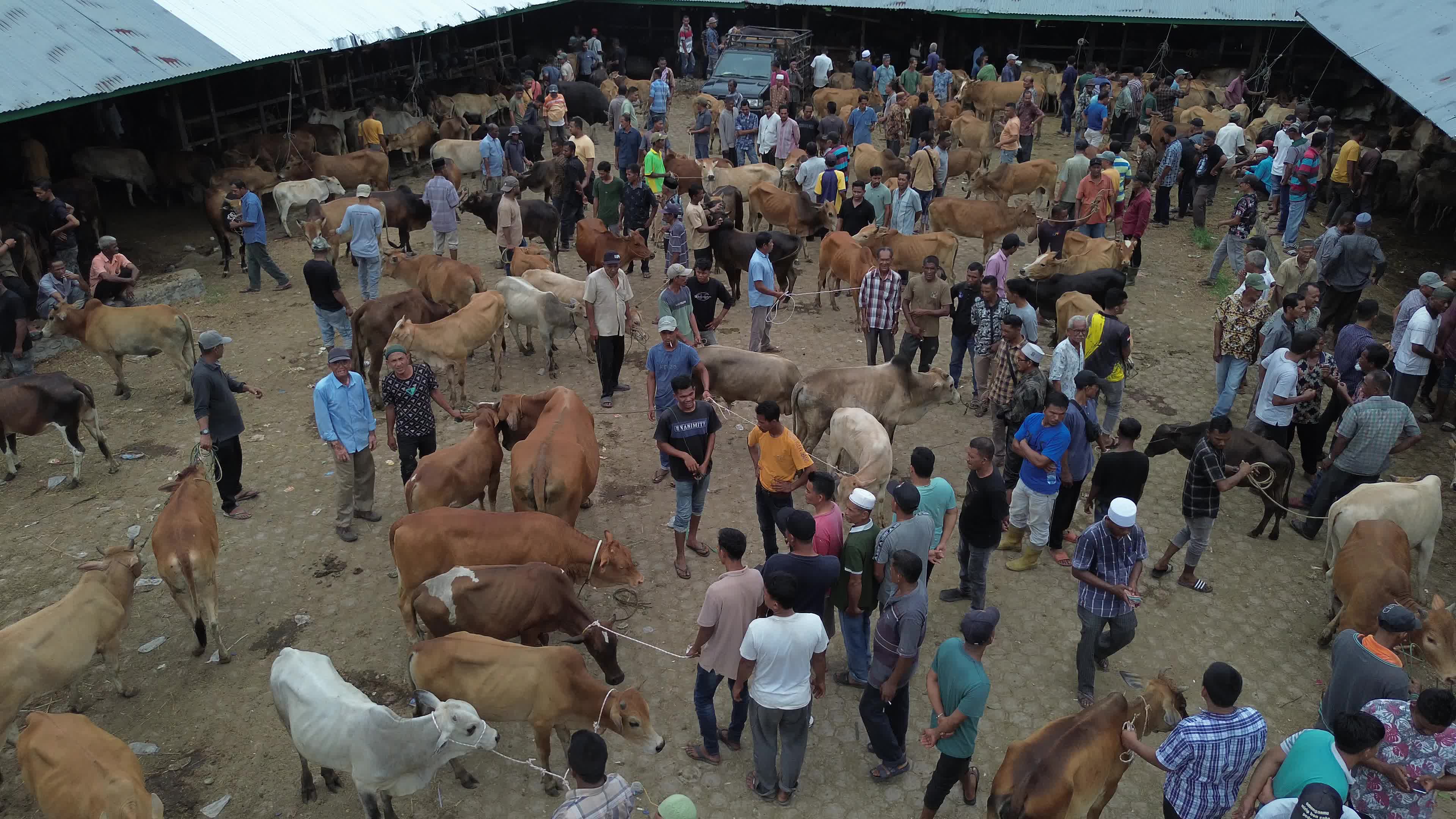 Traditional Livestock Market in Aceh